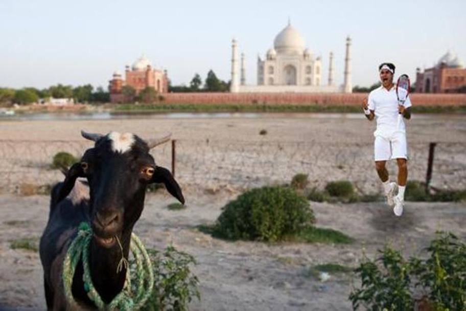 Lo sapeva delle caprette fuori dal Taj Mahal?